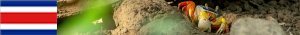 http://costarica21.nstx.ch
