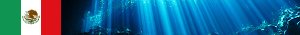 http://mexico21.nstx.ch