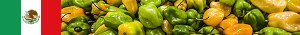 http://mexico21.nstx.ch