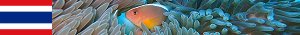 http://thailand17.nstx.ch