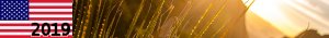 http://usa19.nstx.ch
