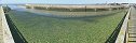 Algae at the Entrance of Grandcamp-Maisy Harbor (Calvados, France)