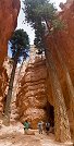 Le sentier Navajo Loop  Bryce Canyon (Utah, Etats-Unis)
