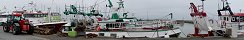 Trawlers Ready for Scallop Fishing (Grandcamp-Maisy, Calvados, France)
