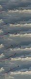 Four Planes Crossing of the French Acrobatic Patrol (La Fert-Alais, Essonne, France)