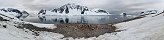 Colonie de manchots papous, le Danco (Pninsule Antarctique)