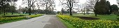 Broad Walk en direction de la palmeraie (Jardins de Kew, Angleterre)