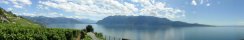 Lac Lman depuis Epesses (Prs de Lausanne, Suisse)