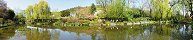 Les jardins de Claude Monet  Giverny (Eure, France)