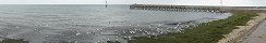 Seagulls in Front of Grandcamp-Maisy Harbor (Calvados, France)