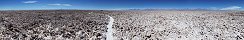 Salar de Atacama prs de Laguna Chaxa (Chili)