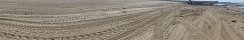 Traces of Tractors Removing Algae on the Beach (Grandcamp-Maisy, Calvados, France)