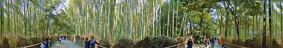Cliquer ici pour tlcharger wp_arashiyamabamboogrove.zip