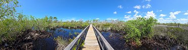 Click here to download wp_rookerybayboardwalk.zip